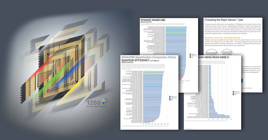 Teledyne FLIR의 2022 Mono Sensor Review 및 Color Sensor Review를 지금 만나보세요!